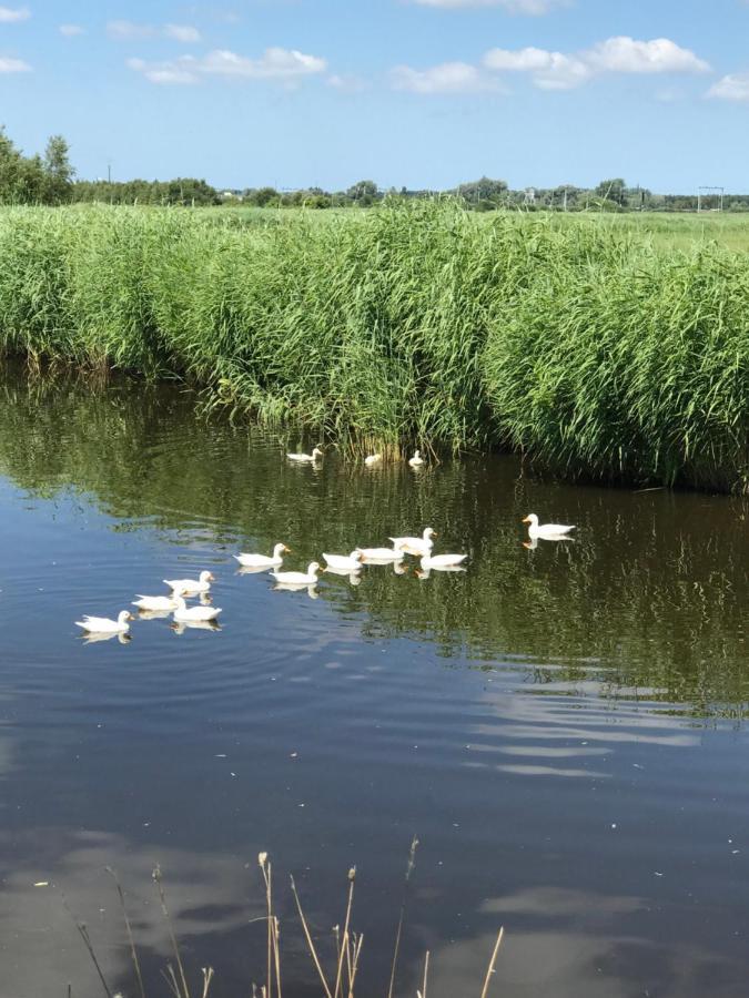 Bed en Breakfast De Heul Oostzaan Buitenkant foto